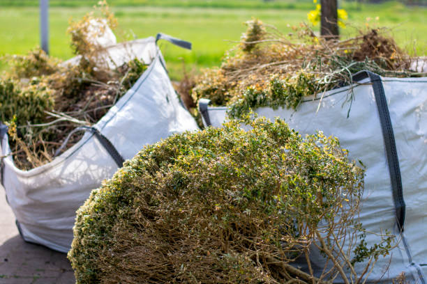 Best Recycling Services for Junk  in Johnstonville, CA